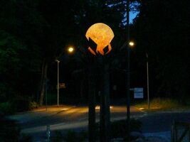 Foto: Dr. Jörg M. Giffei